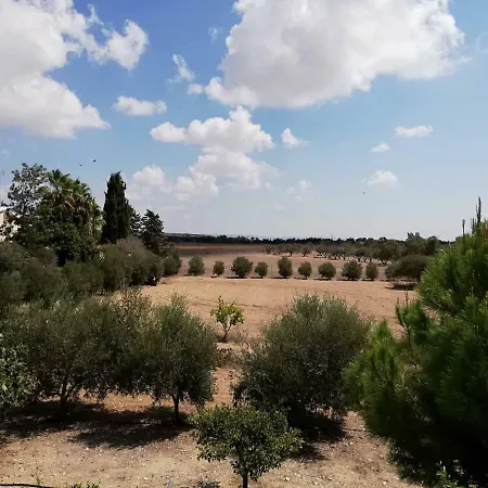 Villa Golden Sun Paphos